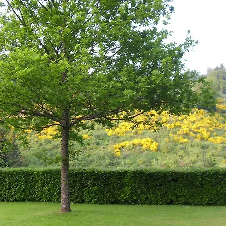 Appartement Flat In With Garden, Cleaning Included *